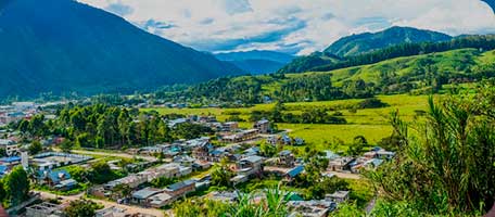 Tours en la Selva Central