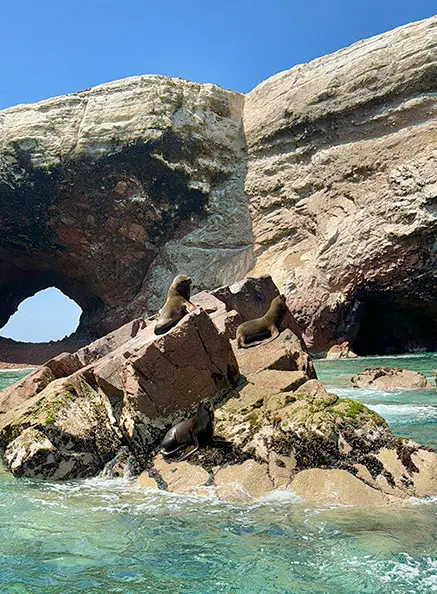 ¿Por qé visitar Las Islas Ballestas? ¿Por qé visitar Las Islas Ballestas?