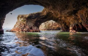 Islas Ballestas + Reserva Nacional de Paracas