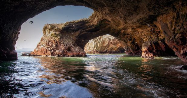 Islas Ballestas + Reserva Nacional de Paracas