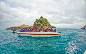 2D / 1N – Descubriendo Ica + Tesoro Costero