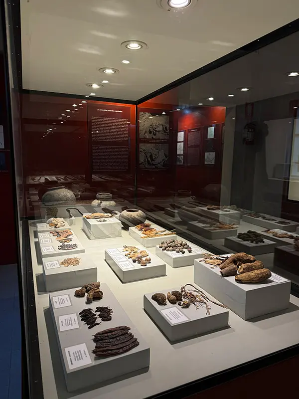 Museo Antonini