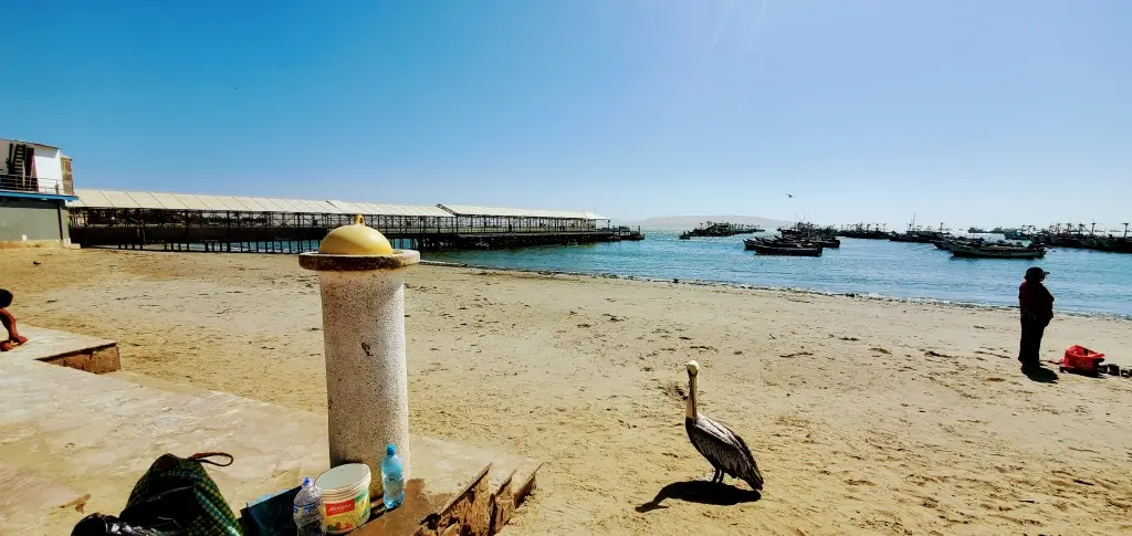 bahía de paracas
