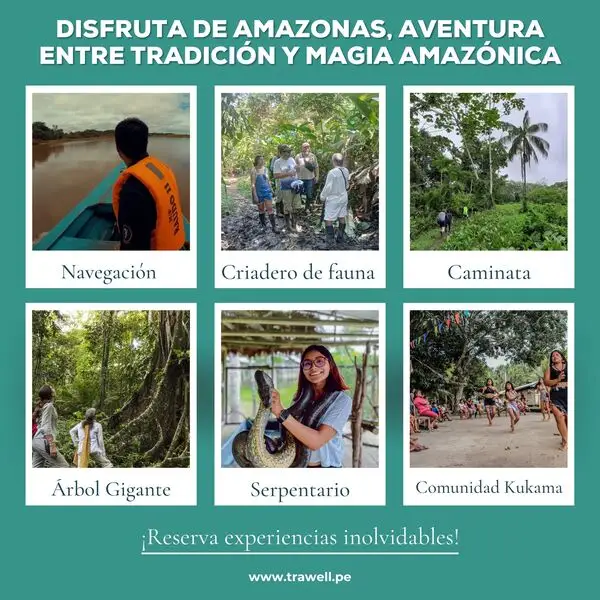 amazonia natural