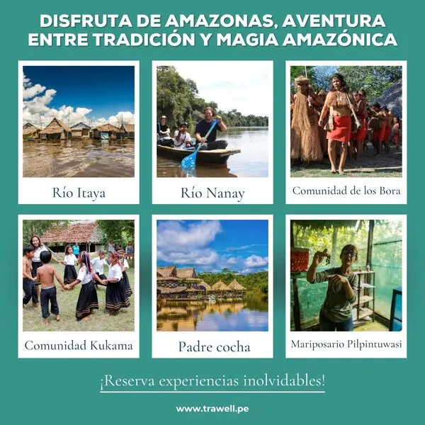 amazonia viva