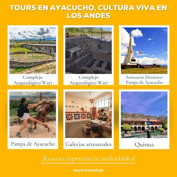 Wari y Quinua