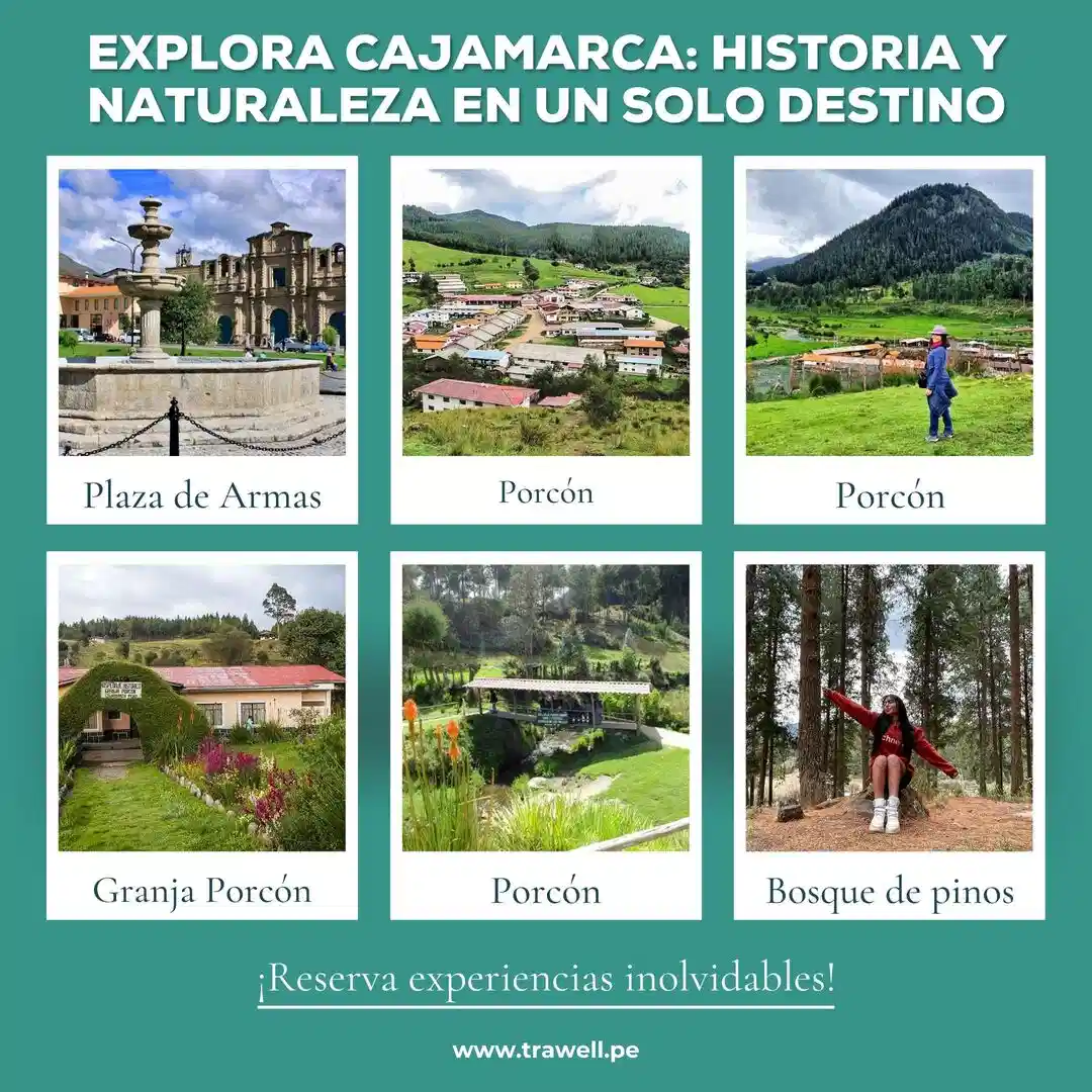 granja-porcon